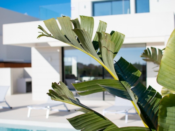 Montesinos Villas - Outside-Costa Blanca